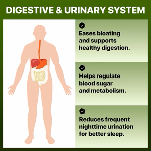 Digestive_Systems_WellNatura_1