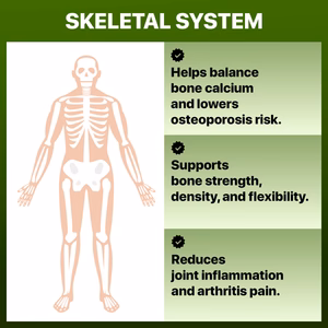 Skeletal_Systems_WellNatura_1